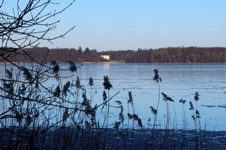 IMG_2441.jpg