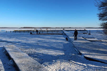 IMG_2448.jpg