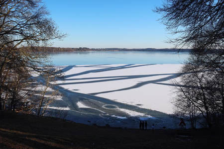 IMG_2453.jpg
