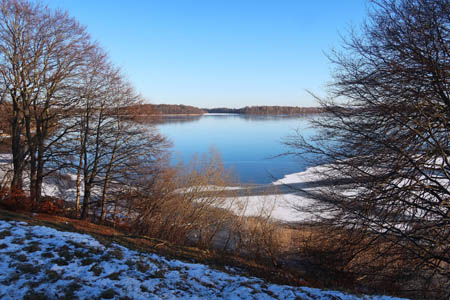 IMG_2455.jpg