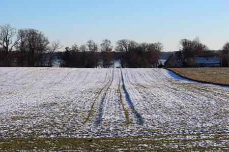 IMG_2461.jpg