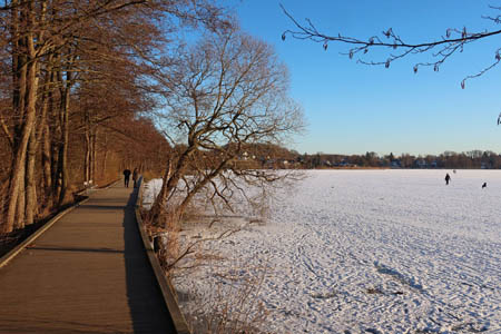 IMG_2472.jpg