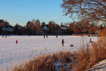 IMG_2484.jpg