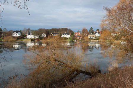 IMG_2530.jpg