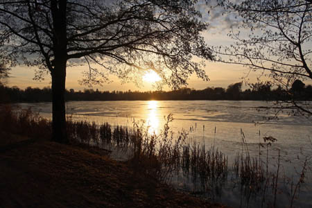 IMG_2578.jpg