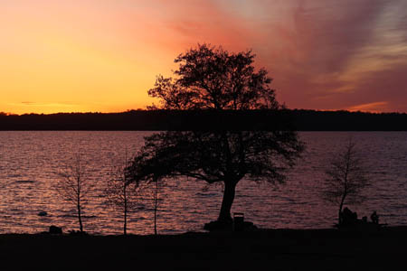 IMG_2732.jpg