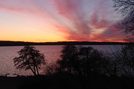 IMG_2743.jpg