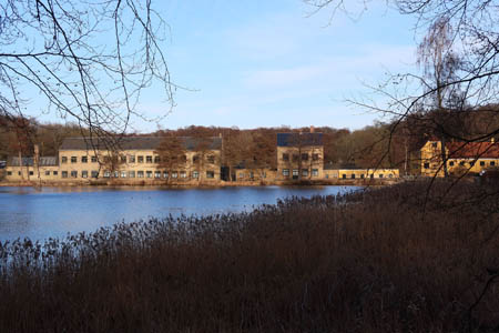 IMG_2959.jpg