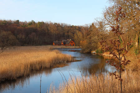 IMG_2968.jpg