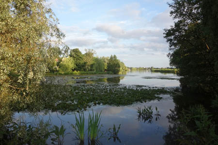 DSC09655.jpg