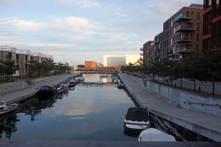 DSC09669.jpg