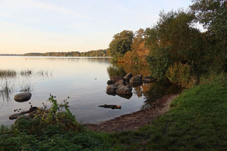 IMG_3528.jpg
