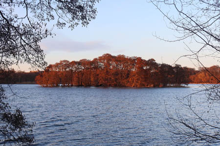 i0319.jpg