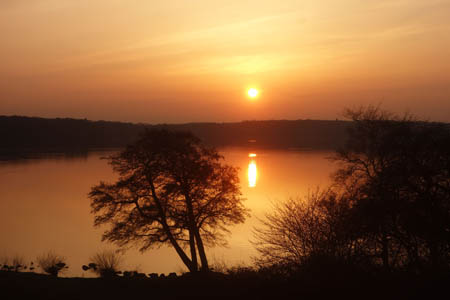 DSC00173.jpg