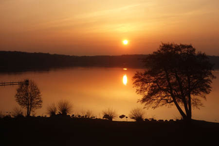 DSC00174.jpg