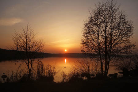 DSC00176.jpg