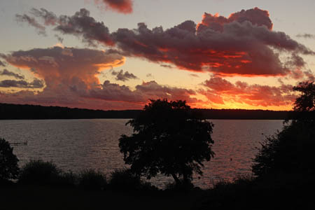 IMG_4347.jpg